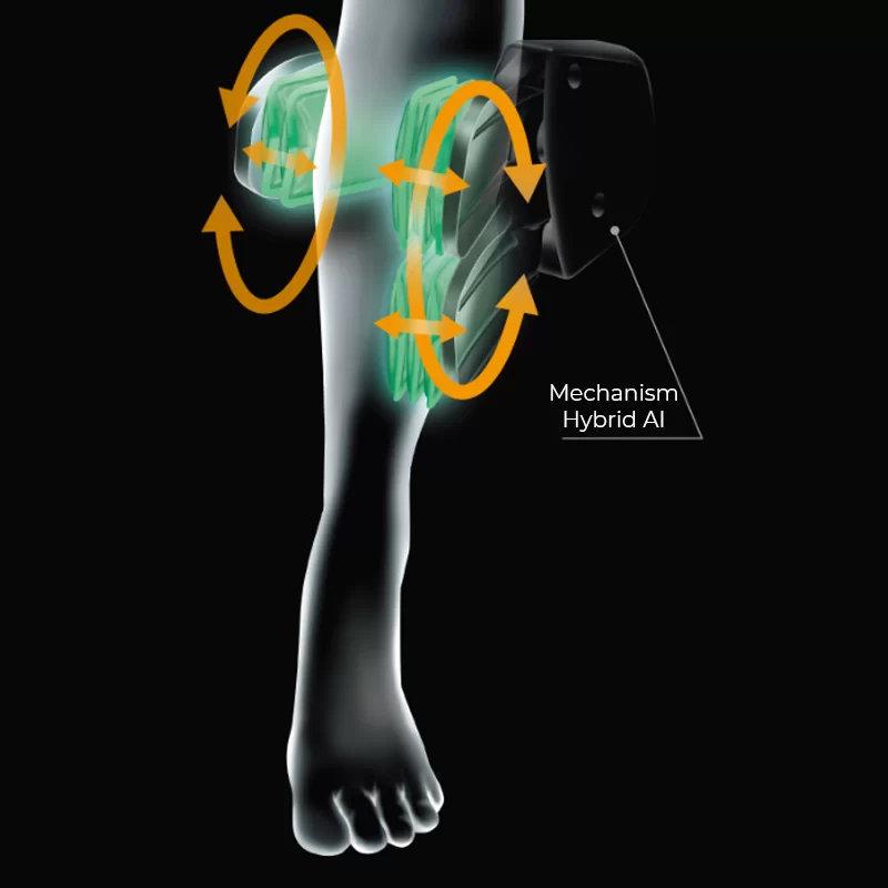 패밀리 이나다 테라피나 로보 HCP-LPN30000